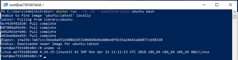 Ubuntu Container running on Windows Server 2019
