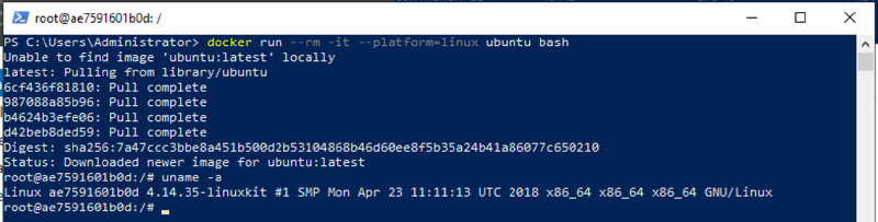 Ubuntu Container running on Windows Server 2019